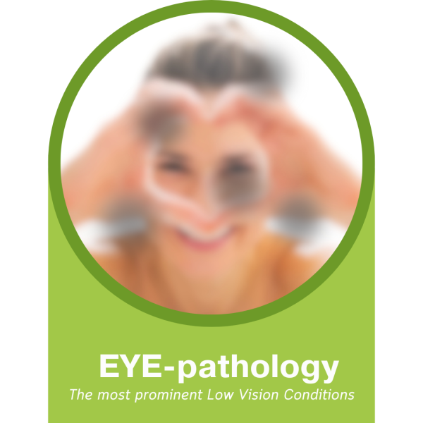 eye pathology webinar