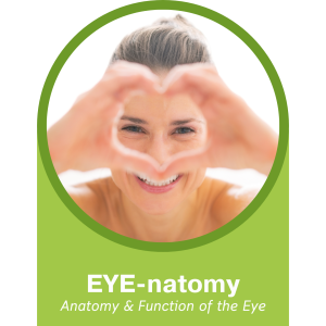 eye natomy webinar
