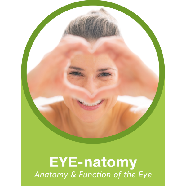 eye natomy webinar