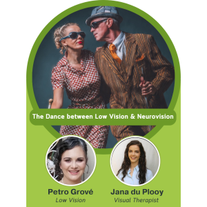 The Dance Between Low Vision and Neurovision